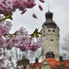 Frühling in Leipzig