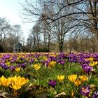 Frühling In Leipzig