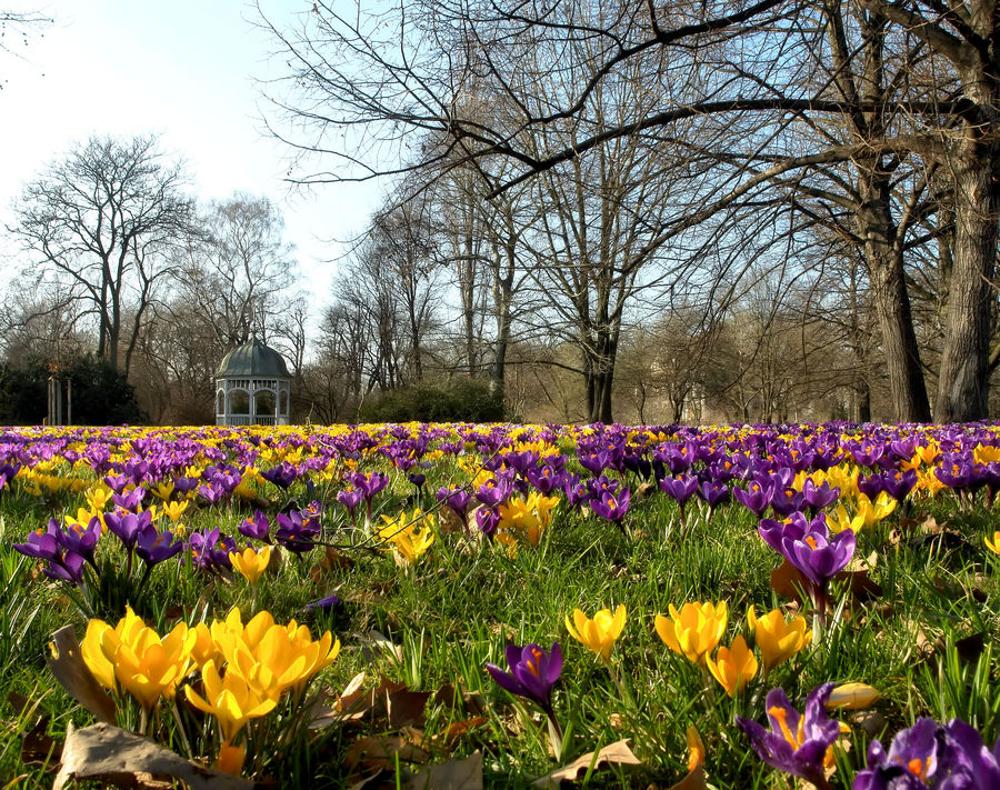 Frühling In Leipzig