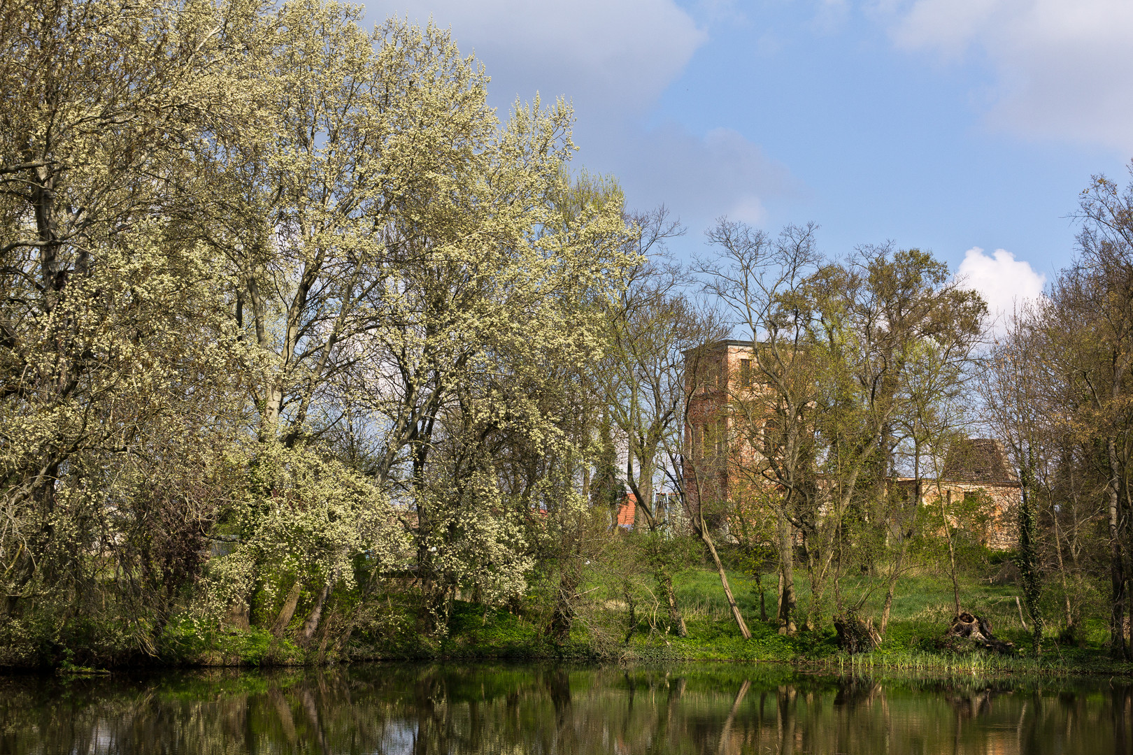 Frühling in Lichtenberg