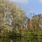 Frühling in Lichtenberg