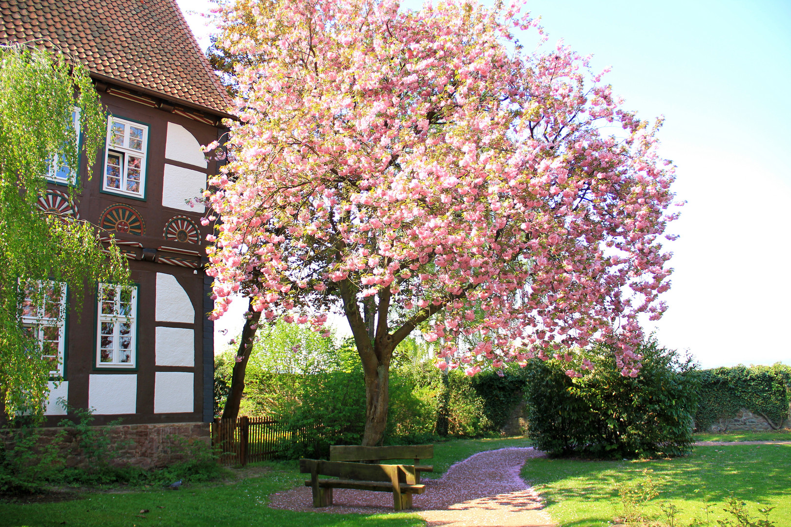 Frühling in Lippe