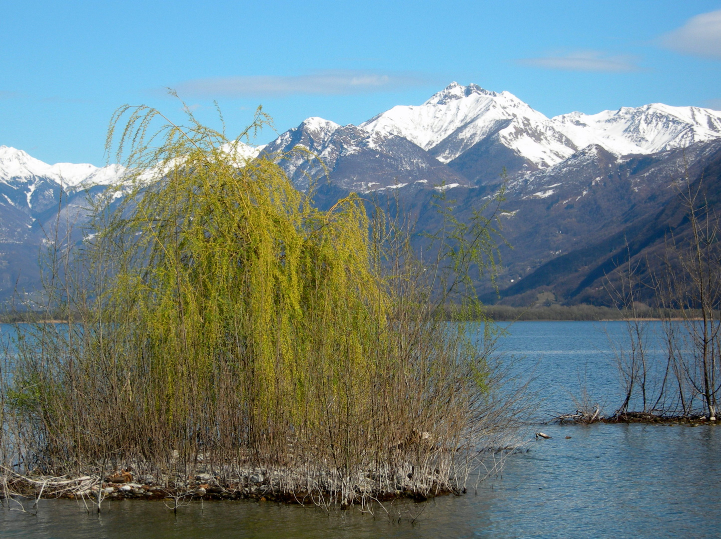 Frühling in Locarno 2