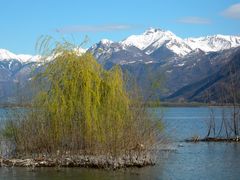 Frühling in Locarno 2