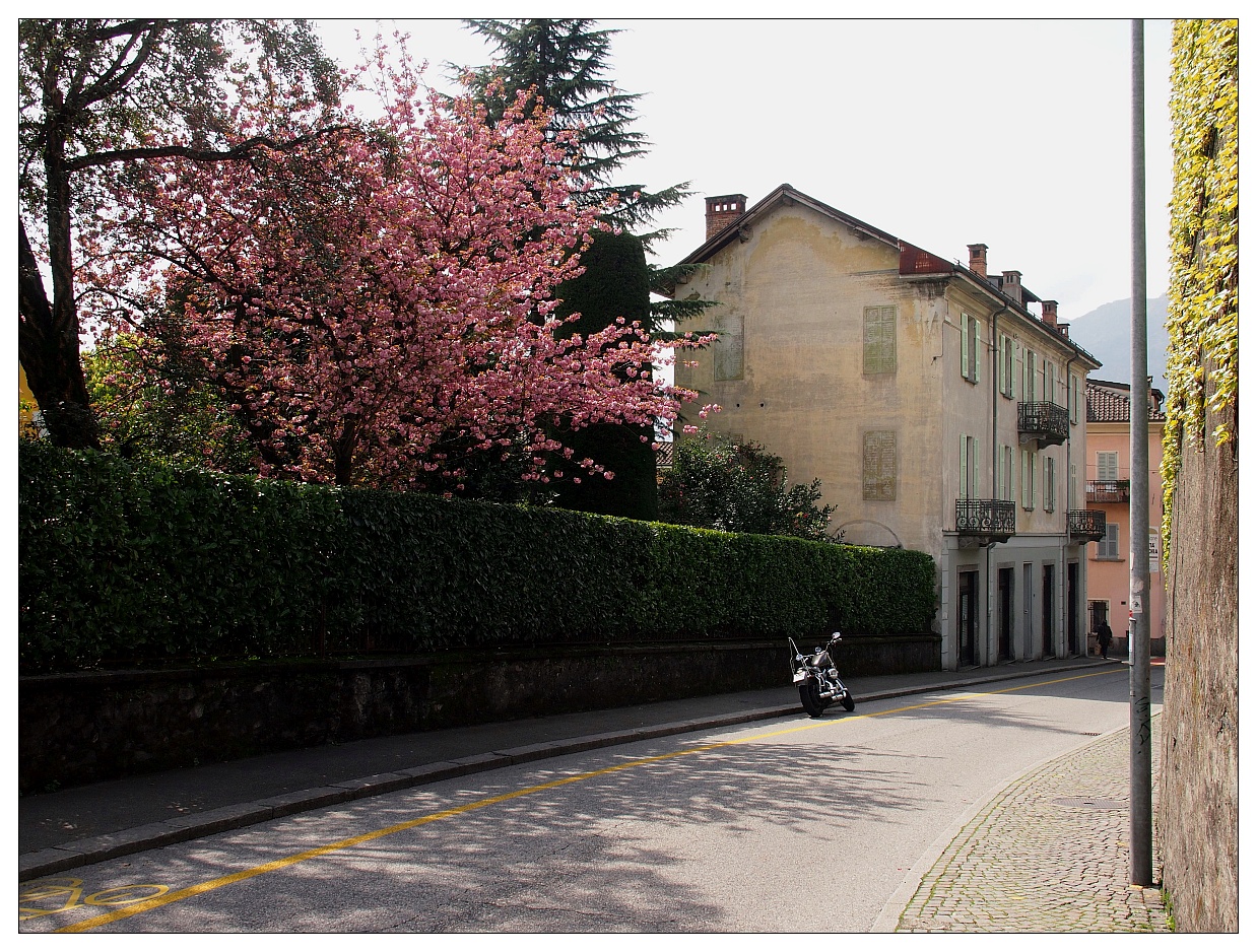 Frühling in Locarno