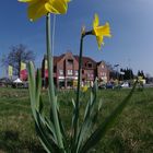 Frühling in Löningen