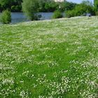 Frühling in Lothringen