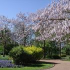 Frühling in Lothringen