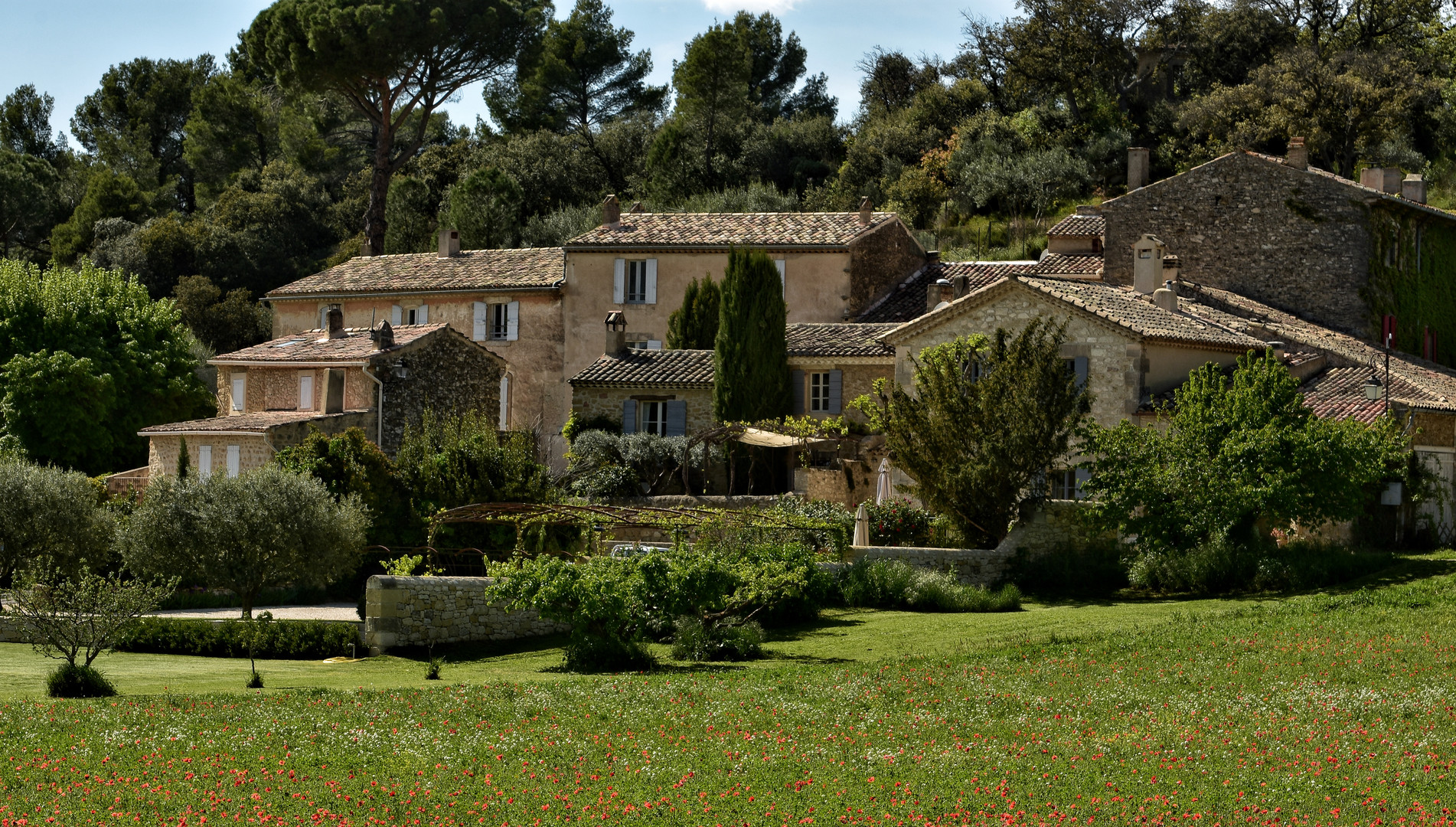 Frühling in Lourmarin