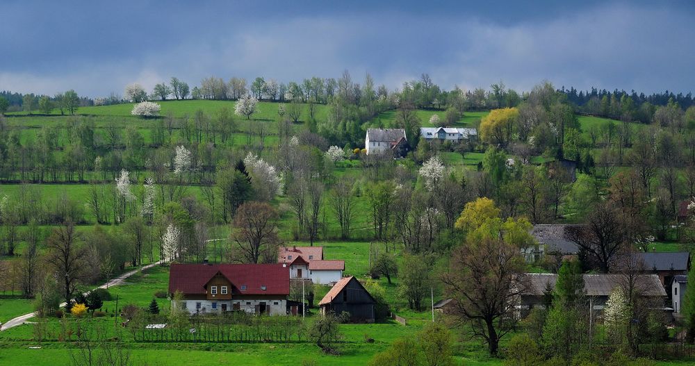 Fruehling in Ludwigsdorf