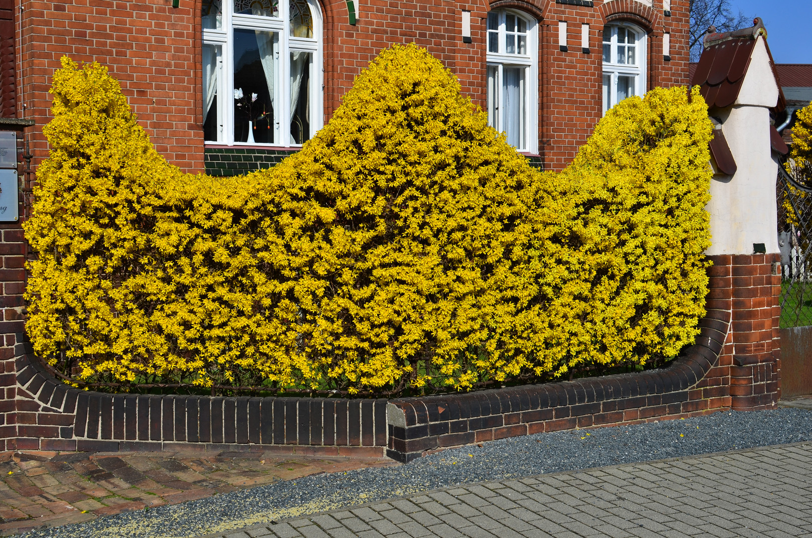 Frühling in Lübbenau