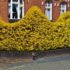 Frühling in Lübbenau