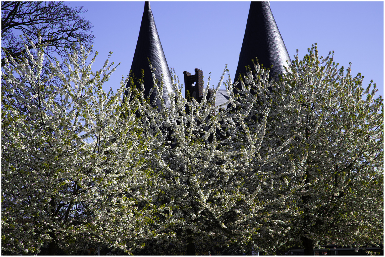 Frühling in Lübeck 