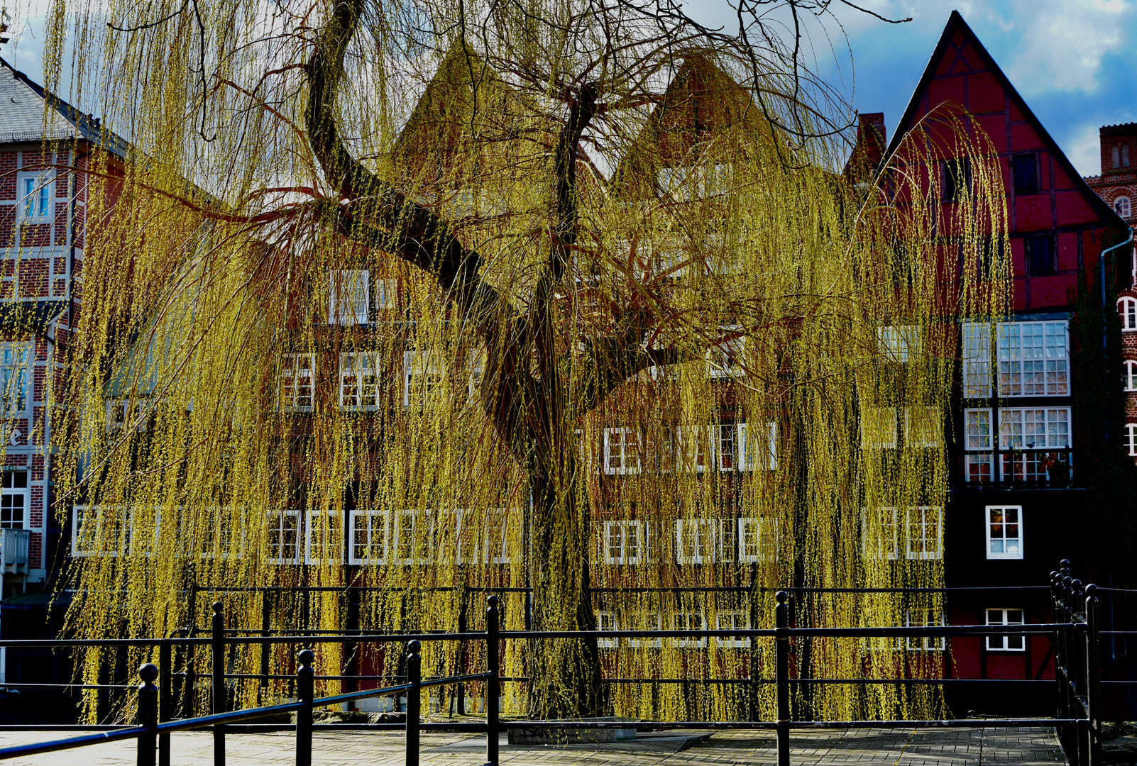 Frühling in Lüneburg