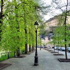 Frühling in Luxemburg