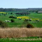 Frühling in Luxemburg