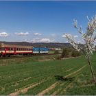 Frühling in Mähren