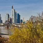 Frühling in Mainhatten, aufgenommen vom Stadtteil Sachsenhausen.