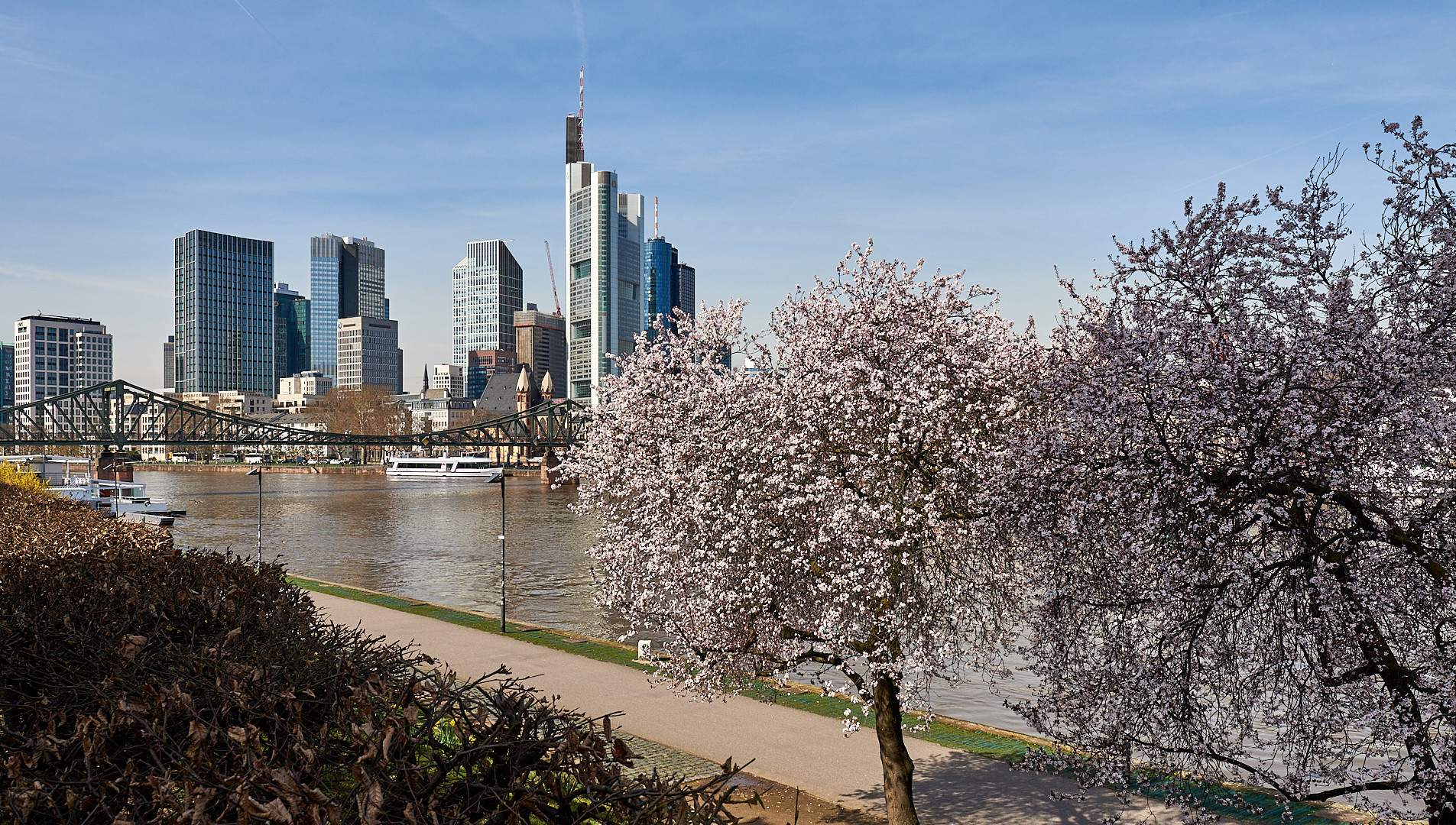 Frühling in Mainhatten, bestes Wetter hatten wir bei unserer Tour durch Frankfurt.