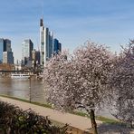 Frühling in Mainhatten, bestes Wetter hatten wir bei unserer Tour durch Frankfurt.