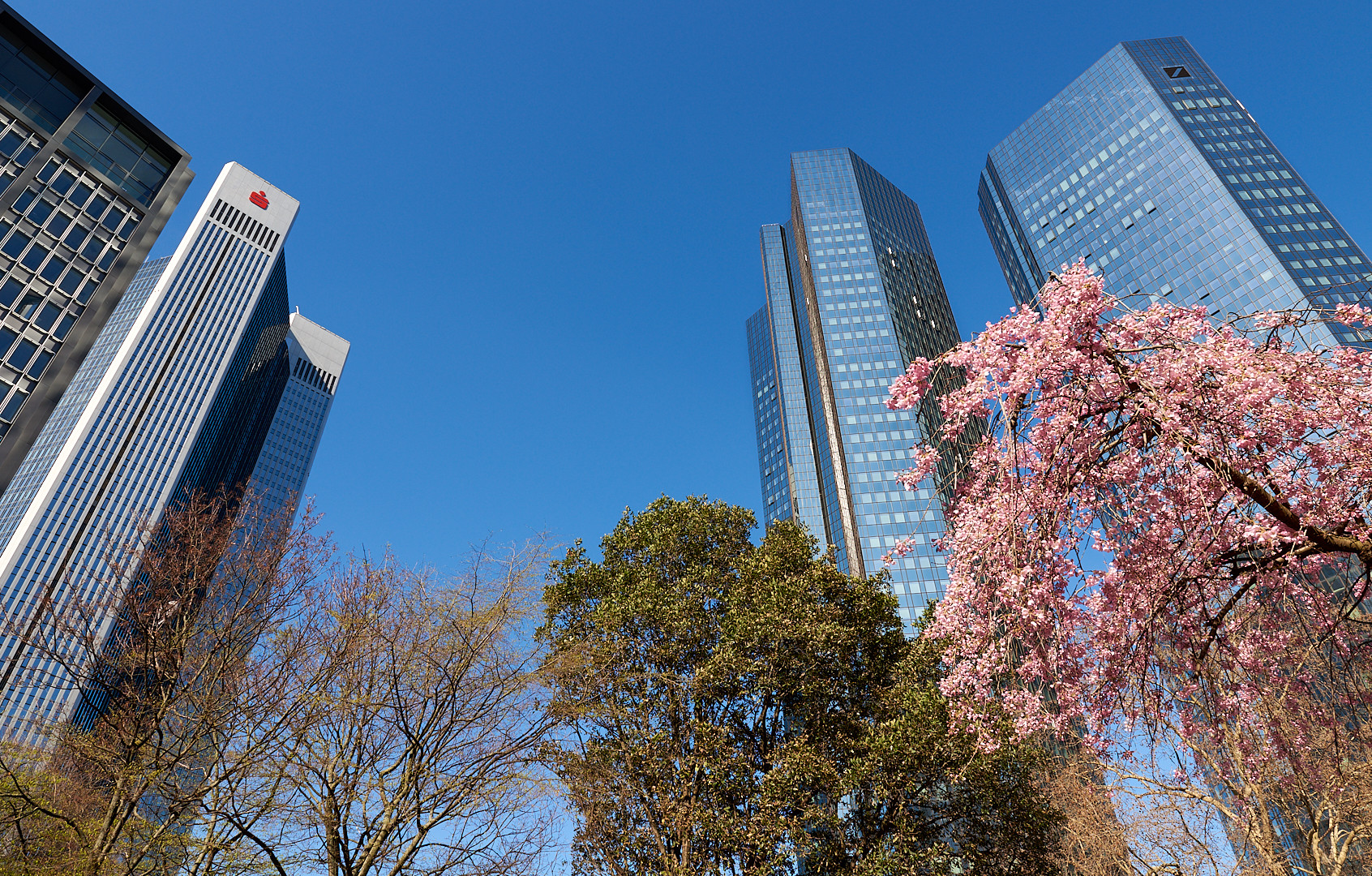 Frühling in Mainhatten März 2019, da war es wärmer als es heute ist.