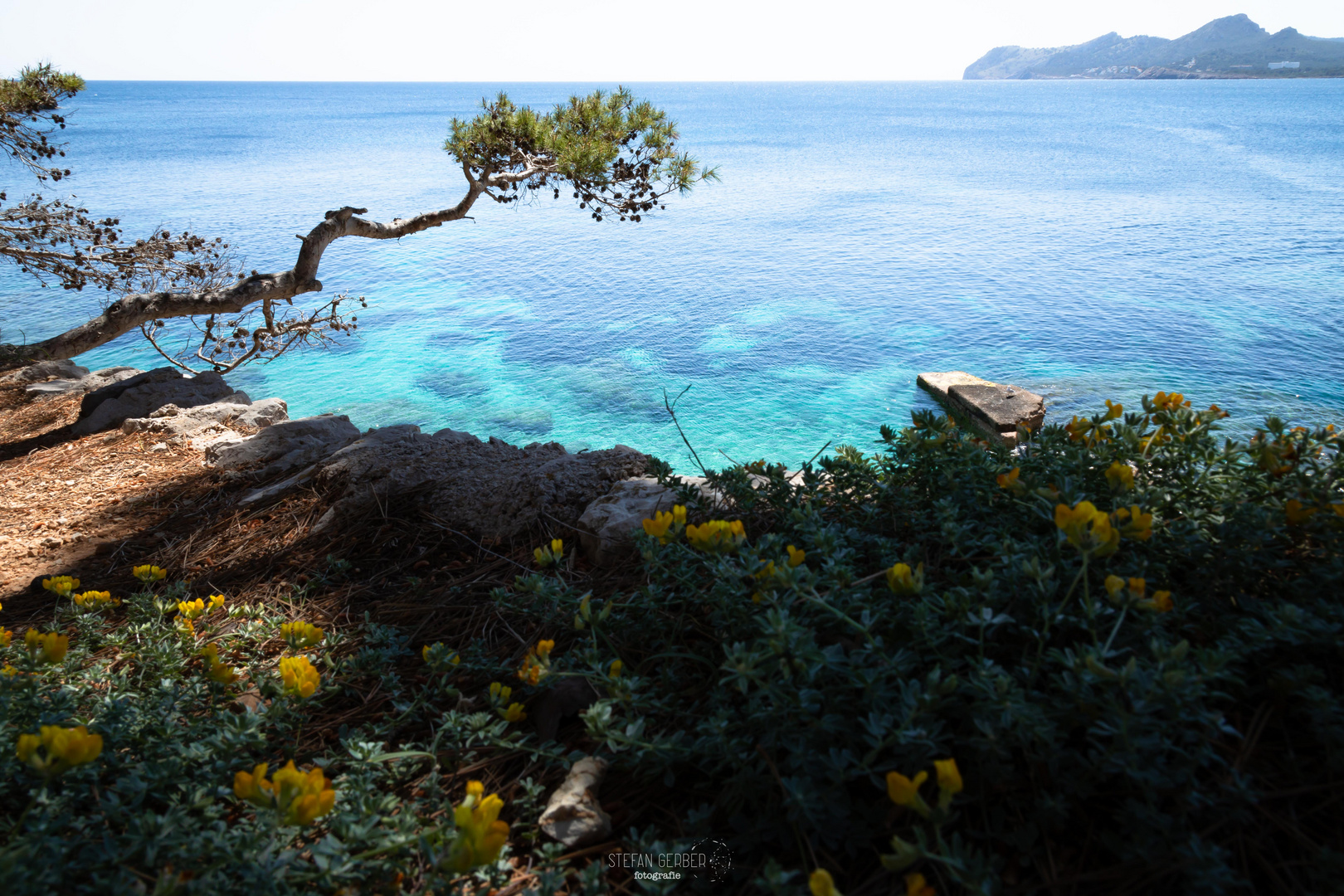 Frühling in Mallorca 