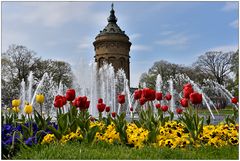 Frühling in Mannheim