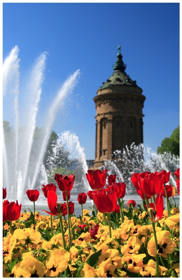 Frühling in Mannheim