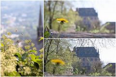 frühling in marburg ... :)