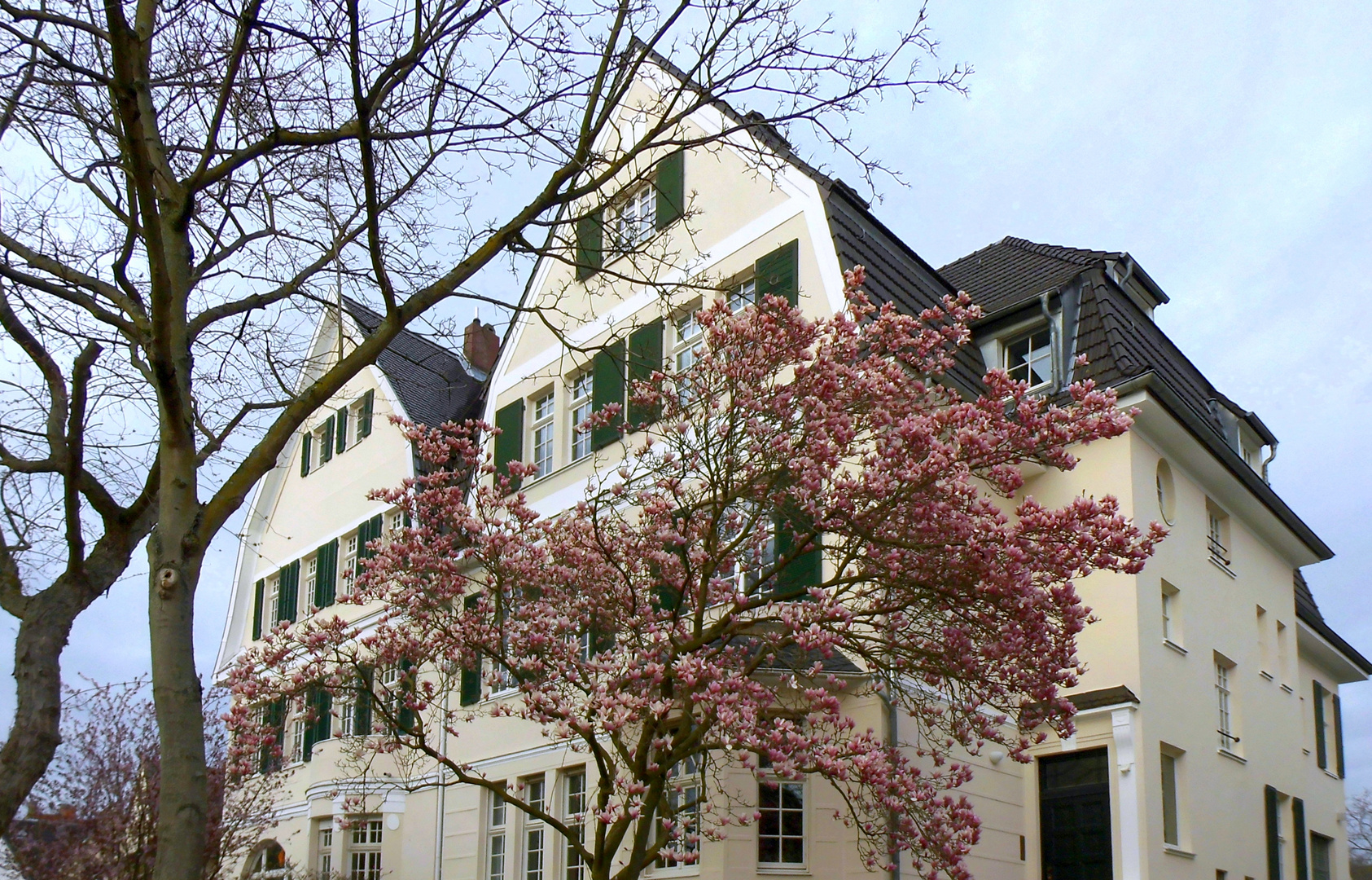 Frühling in Marienburg