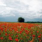 Frühling in Masuren