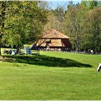 Frühling in Masuren