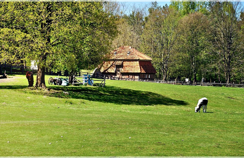 Frühling in Masuren