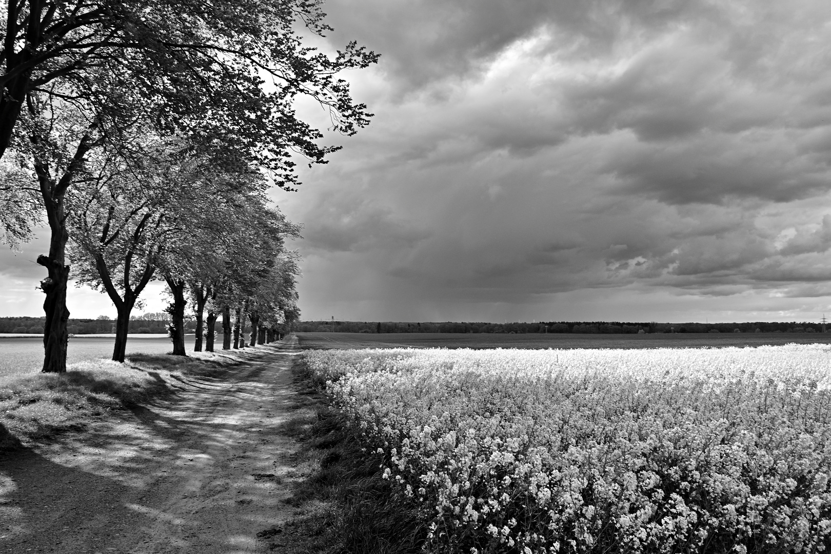 Frühling in Mecklenburg