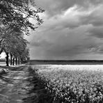 Frühling in Mecklenburg