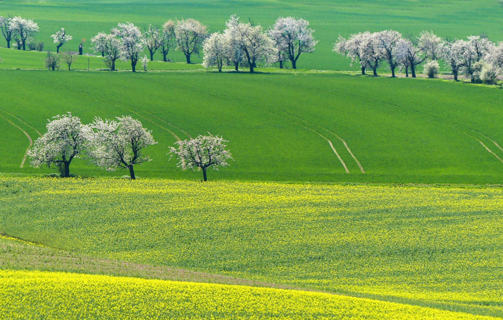 Frühling in mehreren Etagen