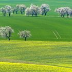 Frühling in mehreren Etagen