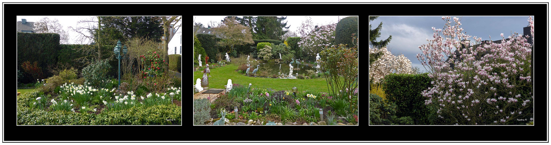 Frühling in meinem Garten am 4. April 2016