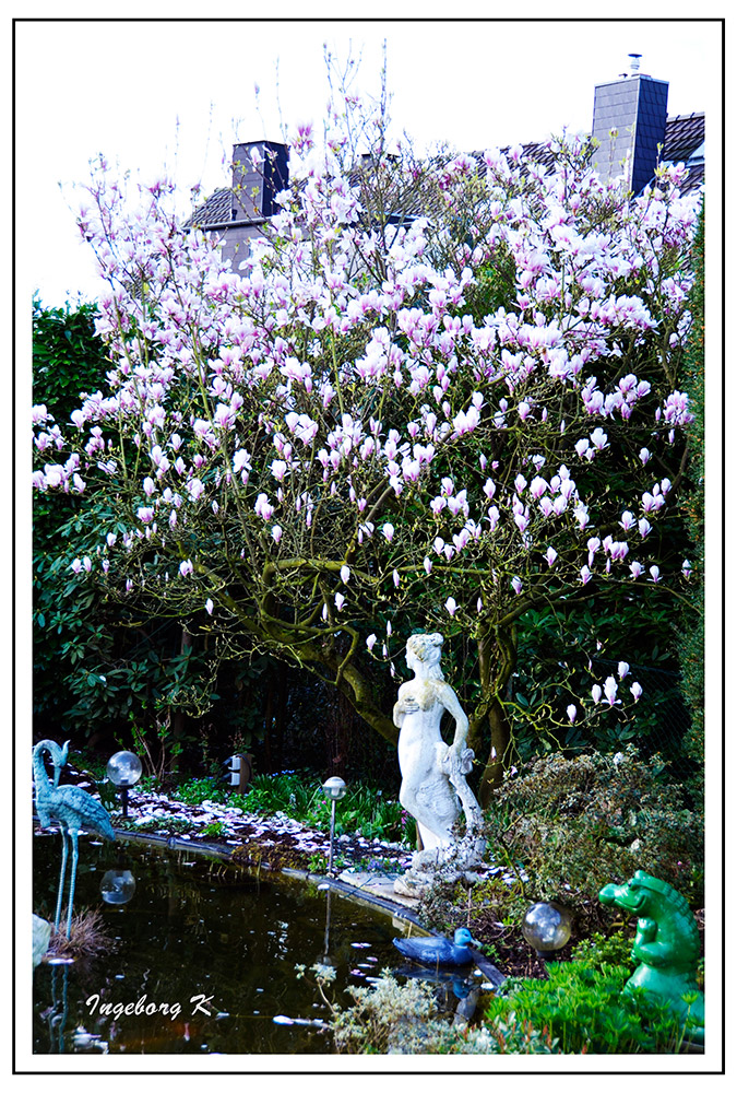 Frühling in meinem Garten