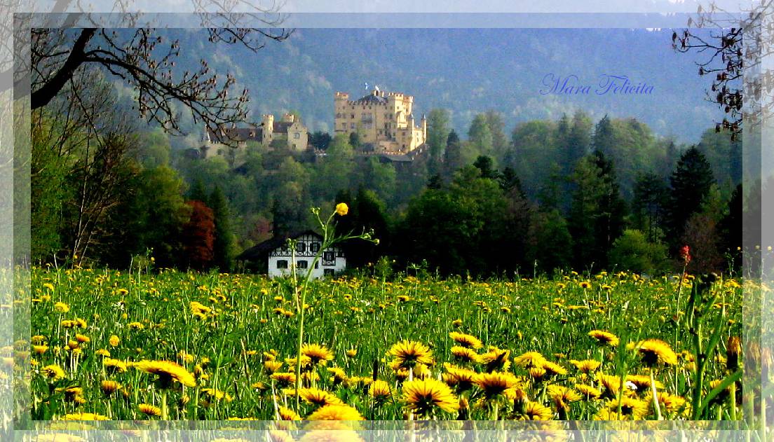 Frühling in meinem Paradies........