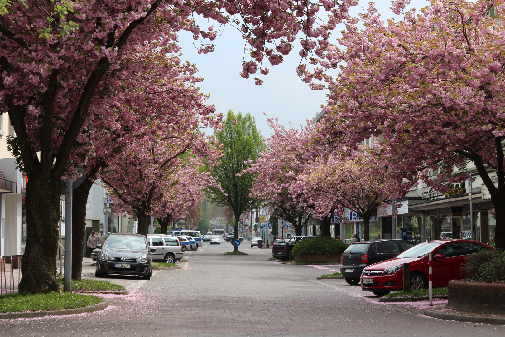 Frühling in Menden