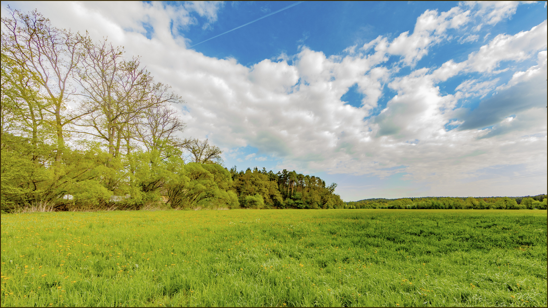 Frühling in Mittelfranken 3