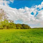 Frühling in Mittelfranken 3