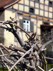 Frühling in Mittelfranken