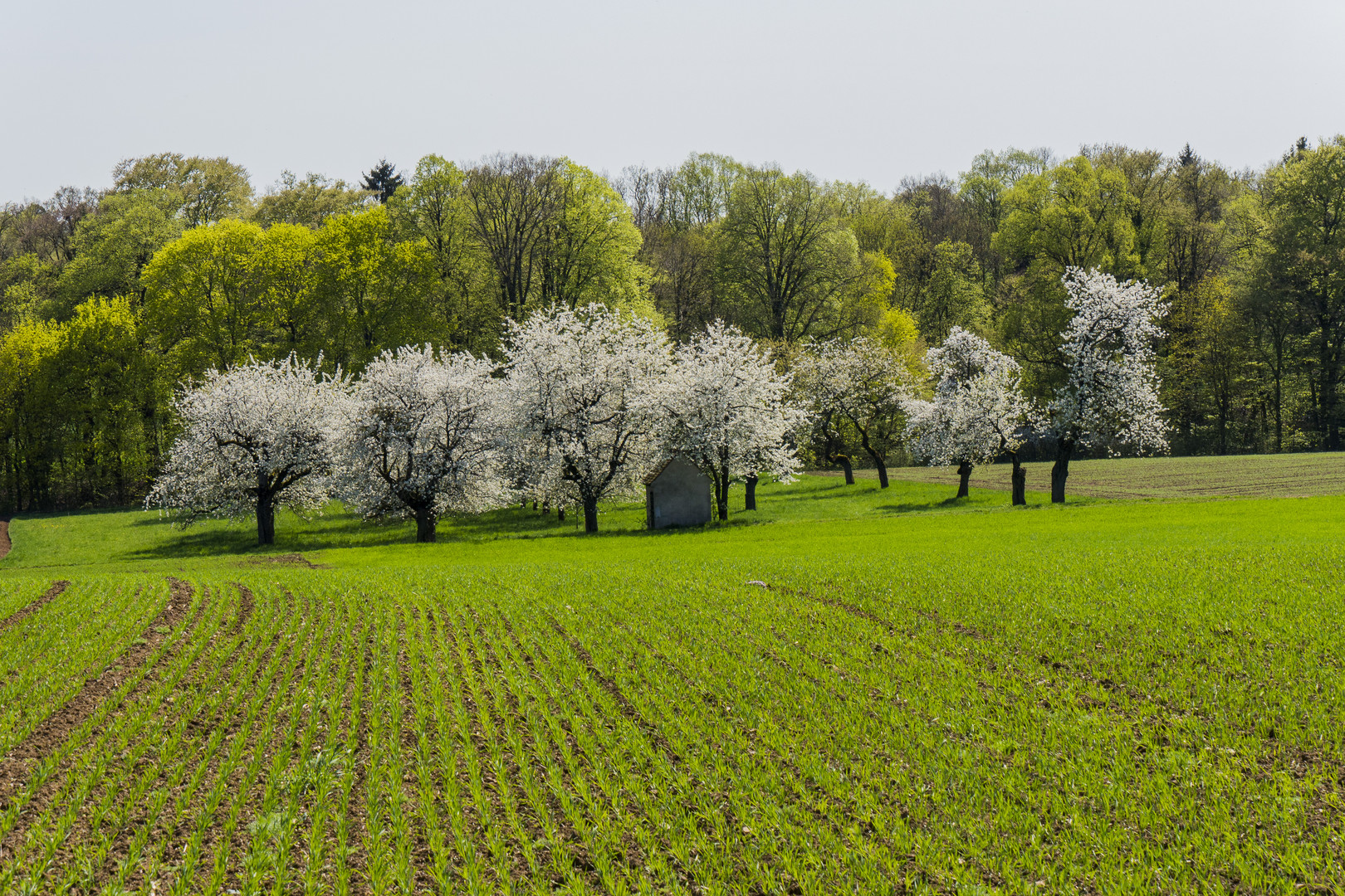 Frühling in Mittelfranken