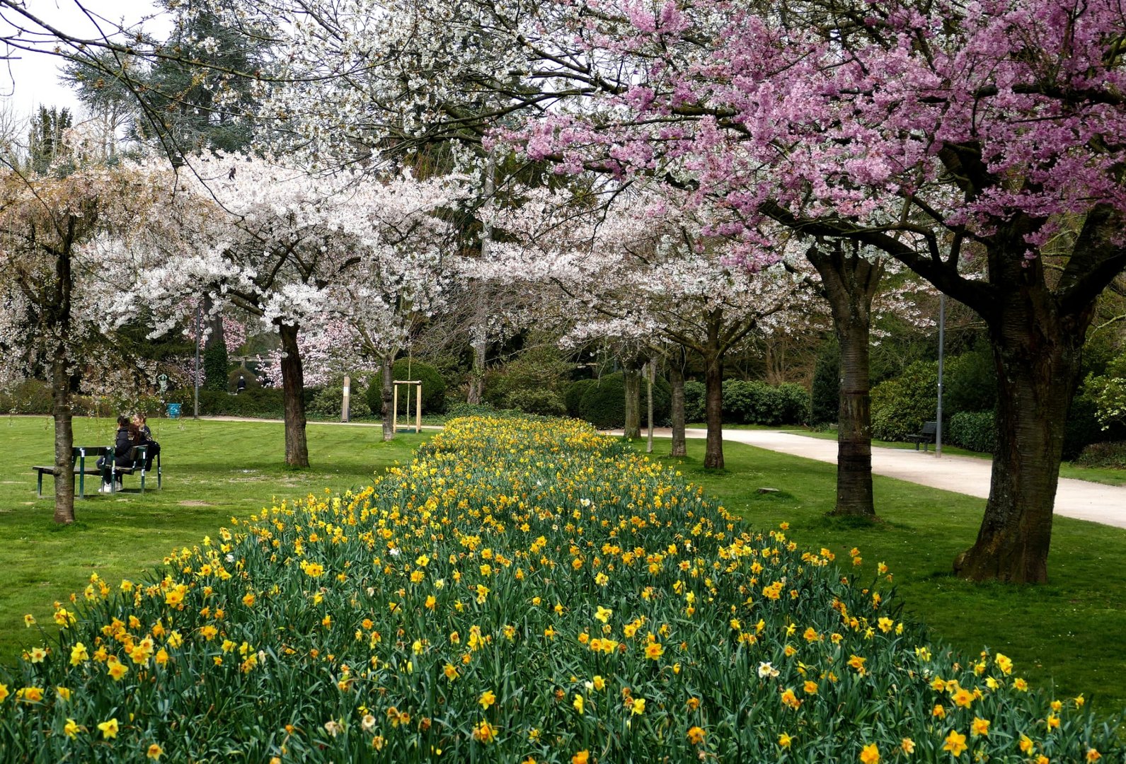 Frühling in Mönchengladbach