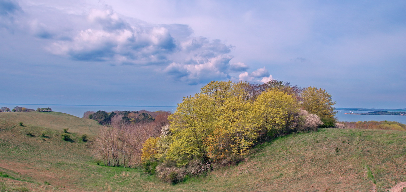 Frühling in Mönchgut