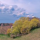 Frühling in Mönchgut