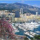 Frühling in Monaco