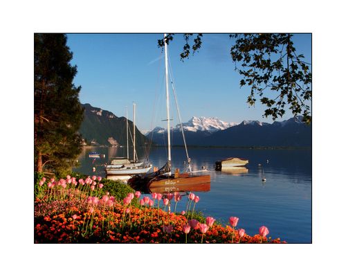 Frühling in Montreux